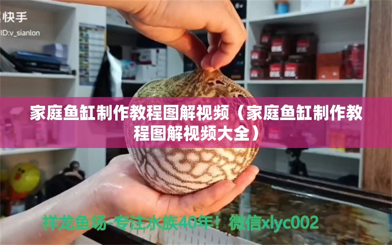 家庭鱼缸制作教程图解视频（家庭鱼缸制作教程图解视频大全）