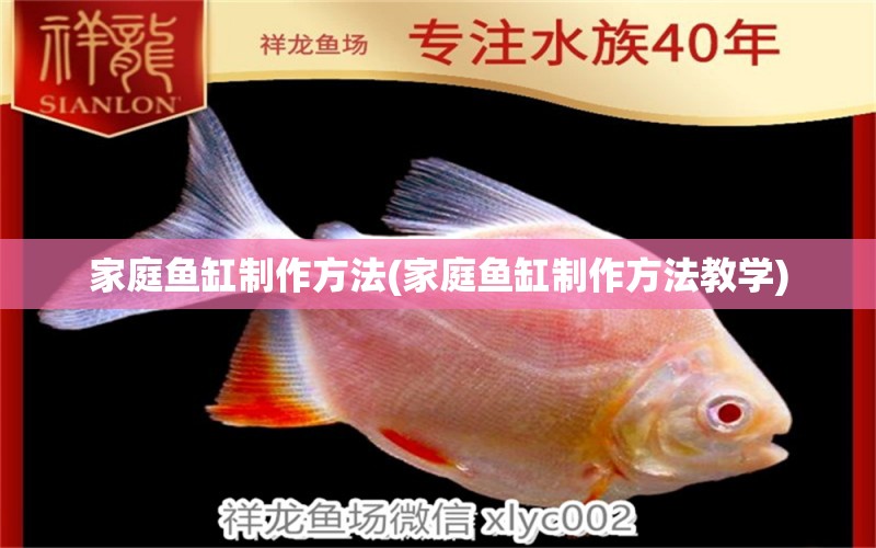 家庭鱼缸制作方法(家庭鱼缸制作方法教学) 粗线银版鱼