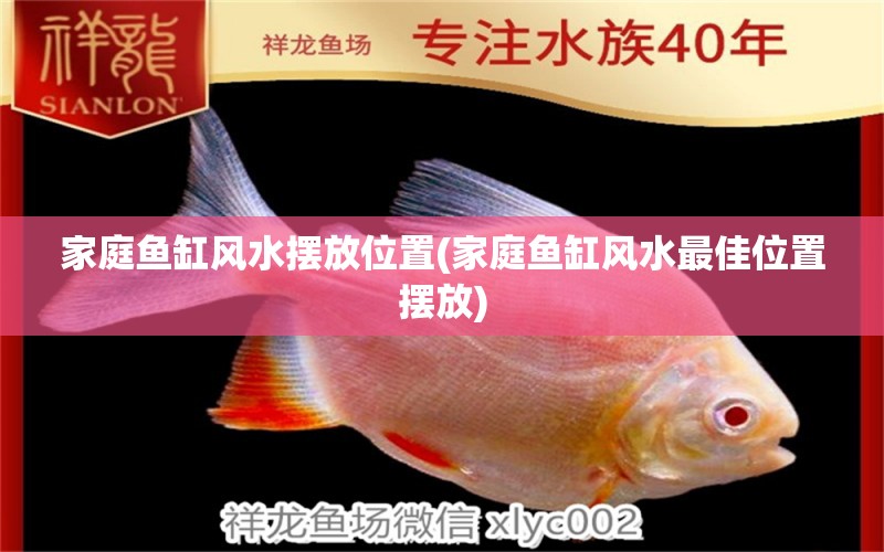 家庭鱼缸风水摆放位置(家庭鱼缸风水最佳位置摆放) 鱼缸风水 第1张