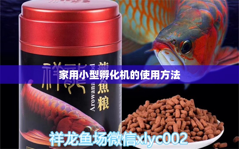 家用小型孵化机的使用方法 哥伦比亚巨暴鱼苗 第1张