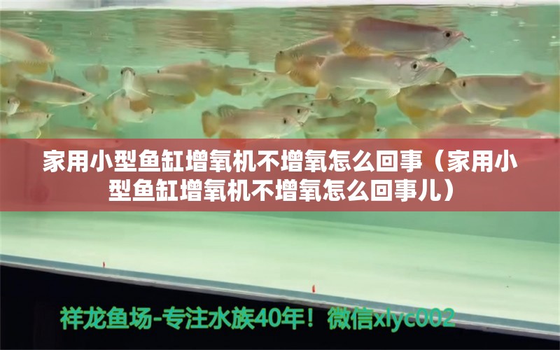 家用小型鱼缸增氧机不增氧怎么回事（家用小型鱼缸增氧机不增氧怎么回事儿）