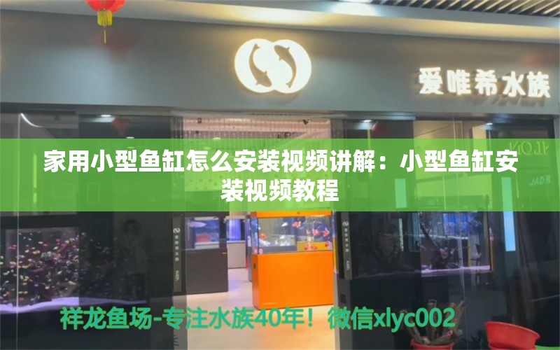 家用小型鱼缸怎么安装视频讲解：小型鱼缸安装视频教程 广州水族批发市场 第1张