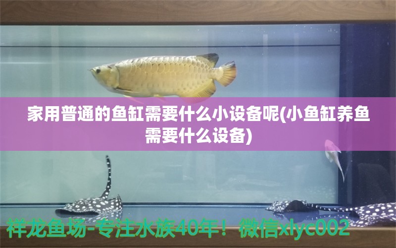 家用普通的鱼缸需要什么小设备呢(小鱼缸养鱼需要什么设备)