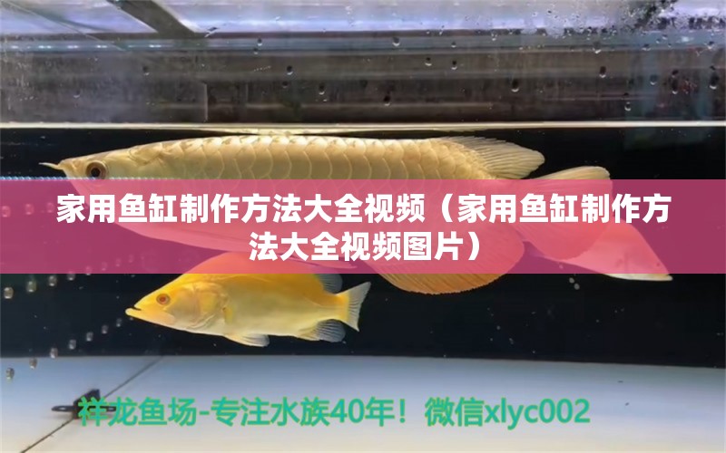 家用鱼缸制作方法大全视频（家用鱼缸制作方法大全视频图片）