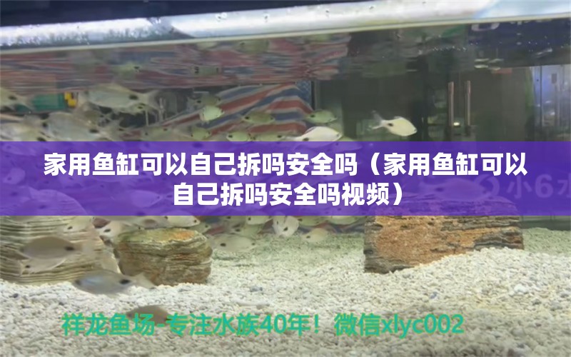 家用鱼缸可以自己拆吗安全吗（家用鱼缸可以自己拆吗安全吗视频）