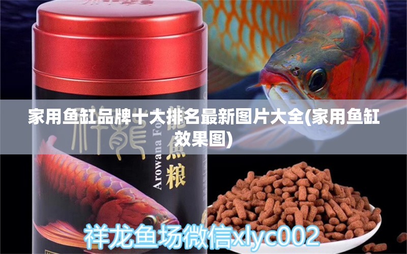 家用鱼缸品牌十大排名最新图片大全(家用鱼缸效果图)