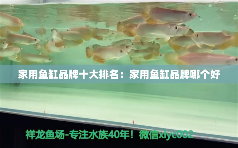 家用鱼缸品牌十大排名：家用鱼缸品牌哪个好