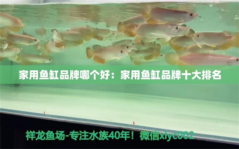 家用鱼缸品牌哪个好：家用鱼缸品牌十大排名