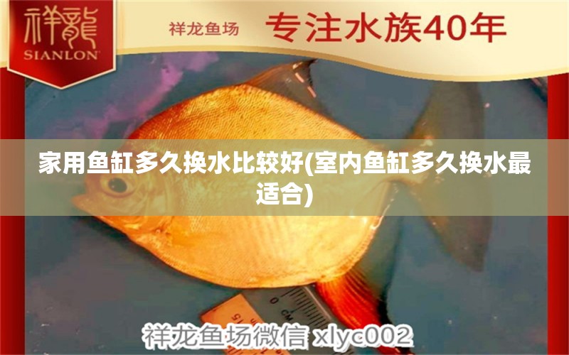 家用鱼缸多久换水比较好(室内鱼缸多久换水最适合) 飞凤鱼苗