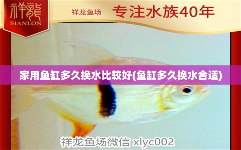 家用鱼缸多久换水比较好(鱼缸多久换水合适)