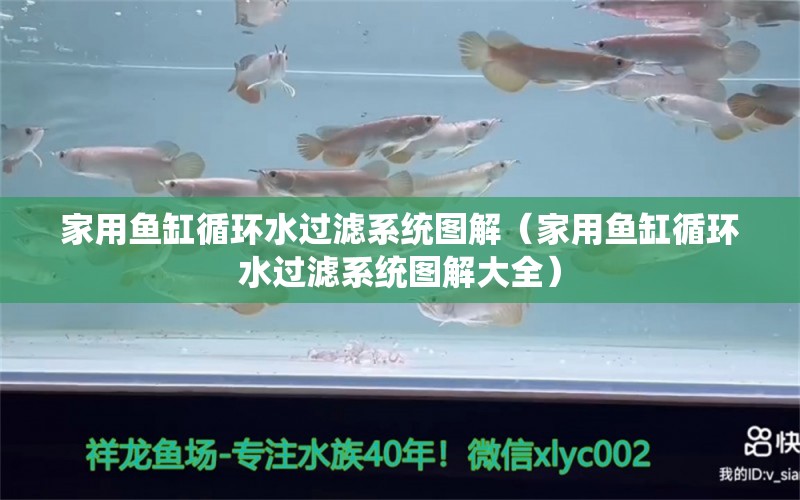 家用鱼缸循环水过滤系统图解（家用鱼缸循环水过滤系统图解大全）