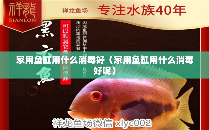 家用鱼缸用什么消毒好（家用鱼缸用什么消毒好呢） 水族杂谈