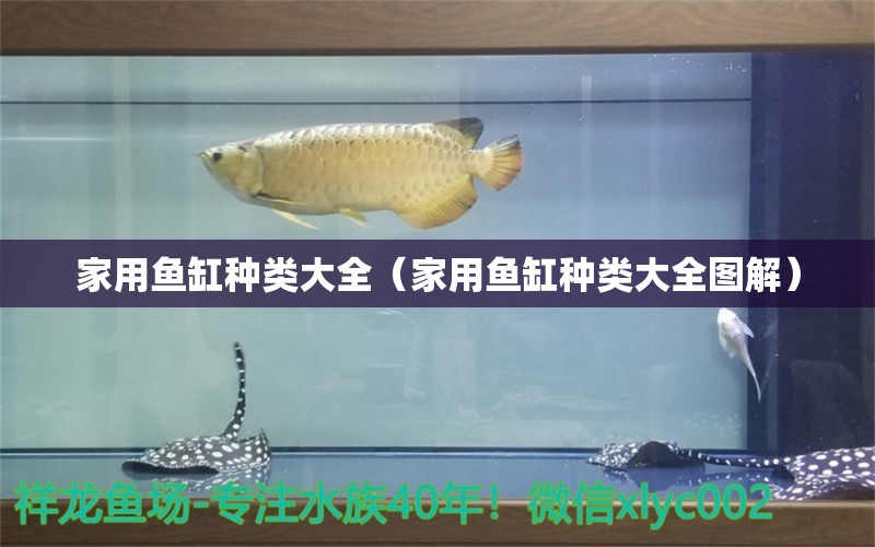 家用鱼缸种类大全（家用鱼缸种类大全图解） iwish爱唯希品牌鱼缸