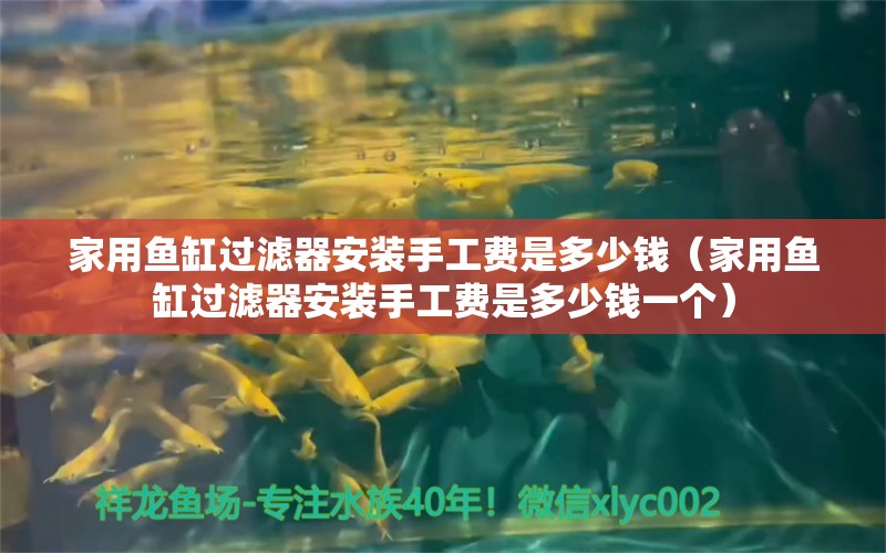 家用鱼缸过滤器安装手工费是多少钱（家用鱼缸过滤器安装手工费是多少钱一个） 观赏鱼水族批发市场