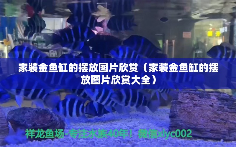 家装金鱼缸的摆放图片欣赏（家装金鱼缸的摆放图片欣赏大全） 观赏鱼市场（混养鱼）