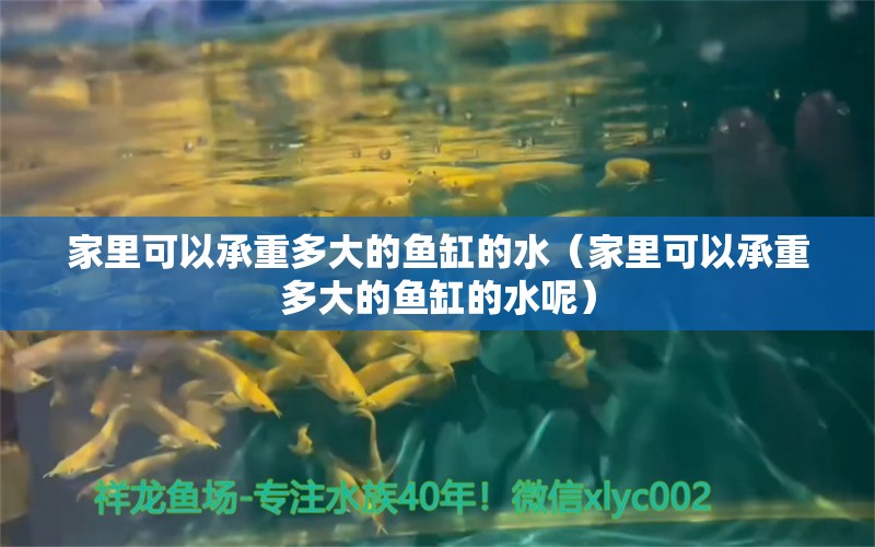 家里可以承重多大的鱼缸的水（家里可以承重多大的鱼缸的水呢）