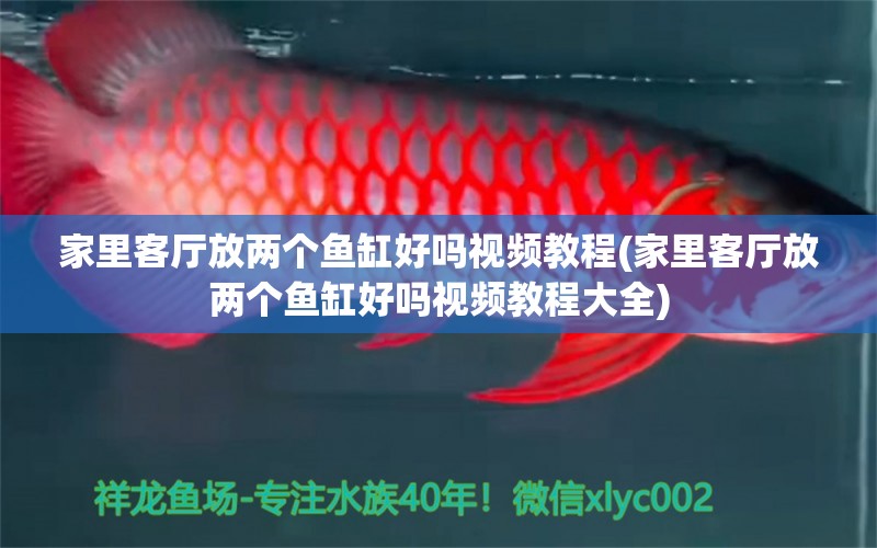 家里客厅放两个鱼缸好吗视频教程(家里客厅放两个鱼缸好吗视频教程大全) 野生埃及神仙鱼 第1张