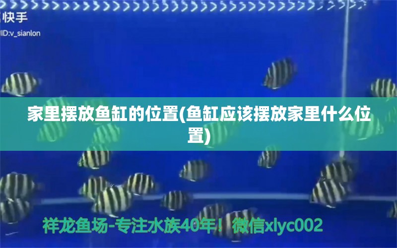 家里摆放鱼缸的位置(鱼缸应该摆放家里什么位置)