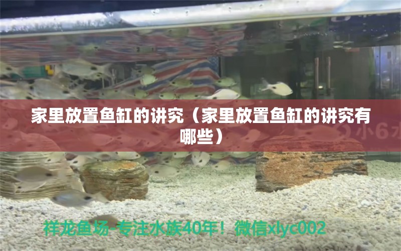 家里放置鱼缸的讲究（家里放置鱼缸的讲究有哪些） 观赏鱼市场（混养鱼）