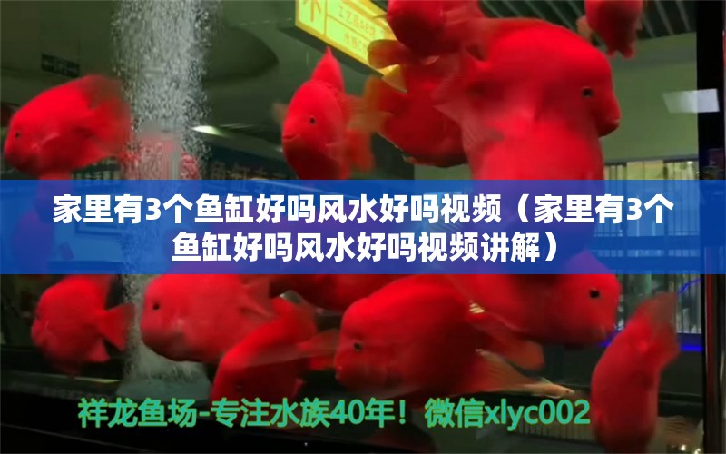 家里有3个鱼缸好吗风水好吗视频（家里有3个鱼缸好吗风水好吗视频讲解） 鱼缸风水