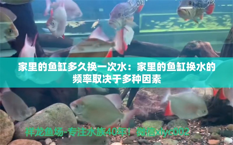 家里的鱼缸多久换一次水：家里的鱼缸换水的频率取决于多种因素