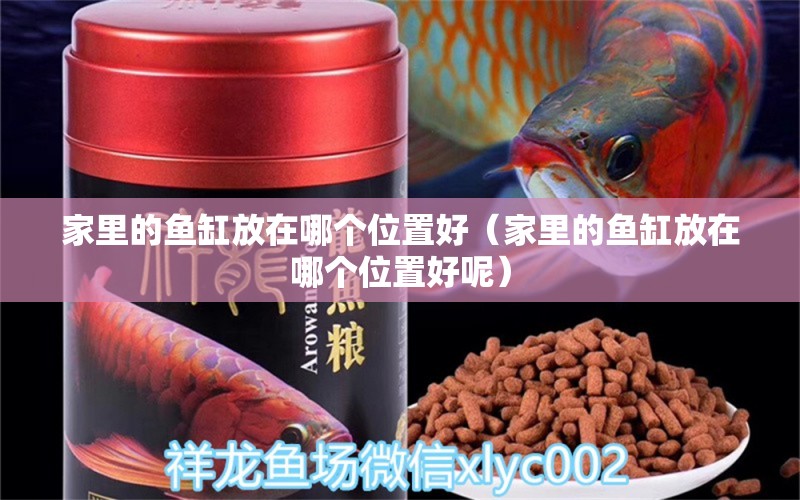 家里的鱼缸放在哪个位置好（家里的鱼缸放在哪个位置好呢） 观赏鱼市场（混养鱼）