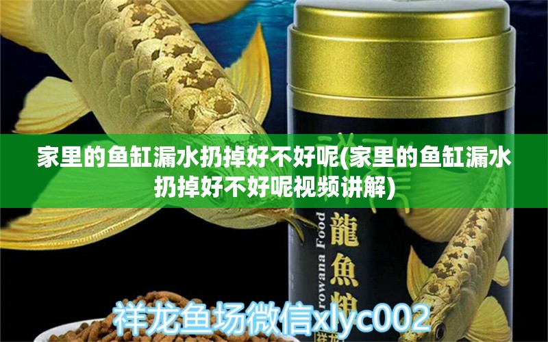 家里的鱼缸漏水扔掉好不好呢(家里的鱼缸漏水扔掉好不好呢视频讲解) 女王大帆鱼 第1张