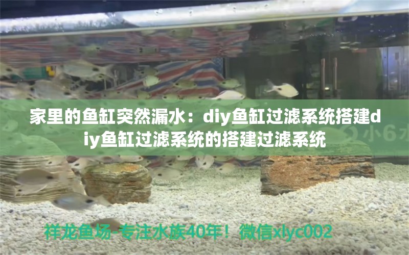 家里的鱼缸突然漏水：diy鱼缸过滤系统搭建diy鱼缸过滤系统的搭建过滤系统 鱼缸风水 第1张