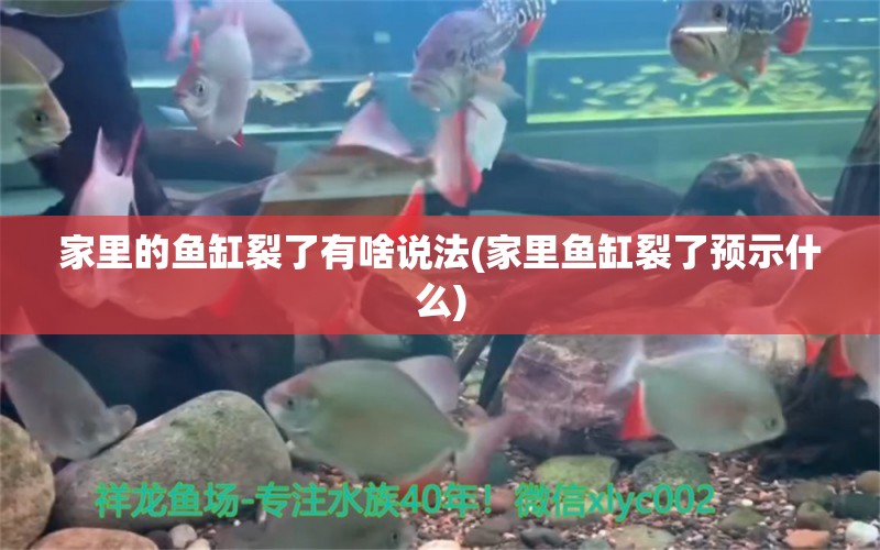 家里的鱼缸裂了有啥说法(家里鱼缸裂了预示什么) 金头过背金龙鱼