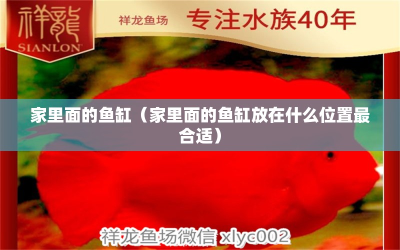 家里面的鱼缸（家里面的鱼缸放在什么位置最合适） 观赏鱼饲料 第2张