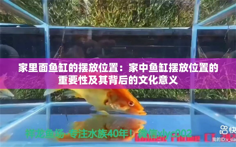 家里面鱼缸的摆放位置：家中鱼缸摆放位置的重要性及其背后的文化意义