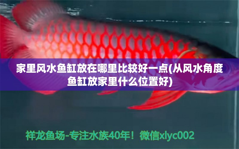 家里风水鱼缸放在哪里比较好一点(从风水角度鱼缸放家里什么位置好) 鱼缸风水 第1张