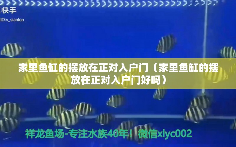 家里鱼缸的摆放在正对入户门（家里鱼缸的摆放在正对入户门好吗） 巴卡雷龙鱼