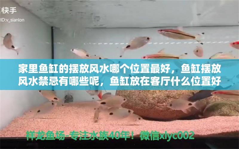 家里鱼缸的摆放风水哪个位置最好，鱼缸摆放风水禁忌有哪些呢，鱼缸放在客厅什么位置好 鱼缸风水 第1张