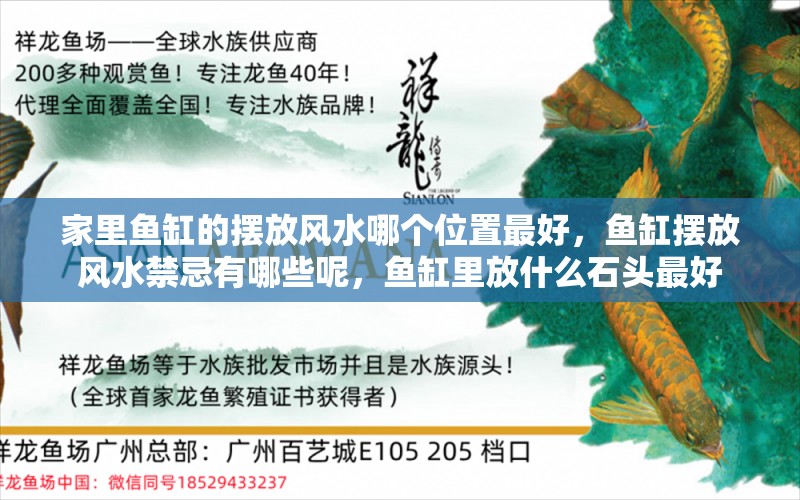 家里鱼缸的摆放风水哪个位置最好，鱼缸摆放风水禁忌有哪些呢，鱼缸里放什么石头最好