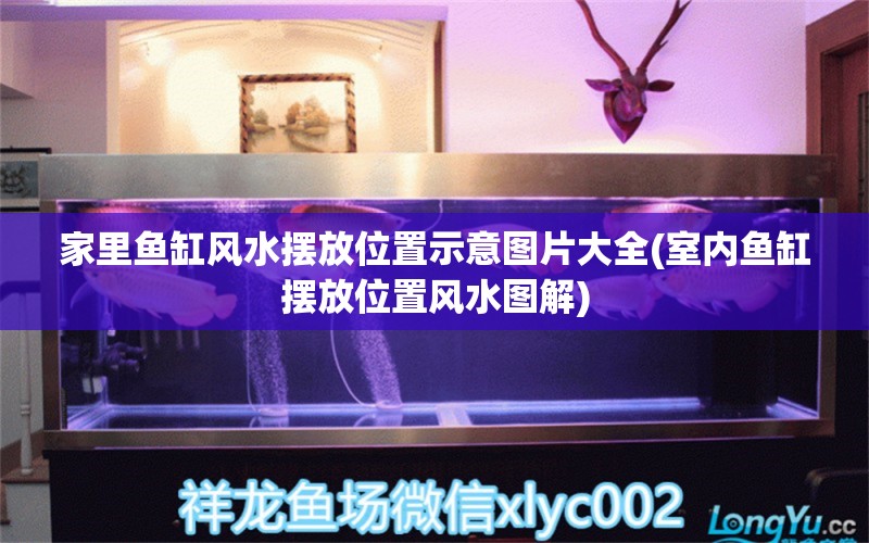 家里鱼缸风水摆放位置示意图片大全(室内鱼缸摆放位置风水图解)