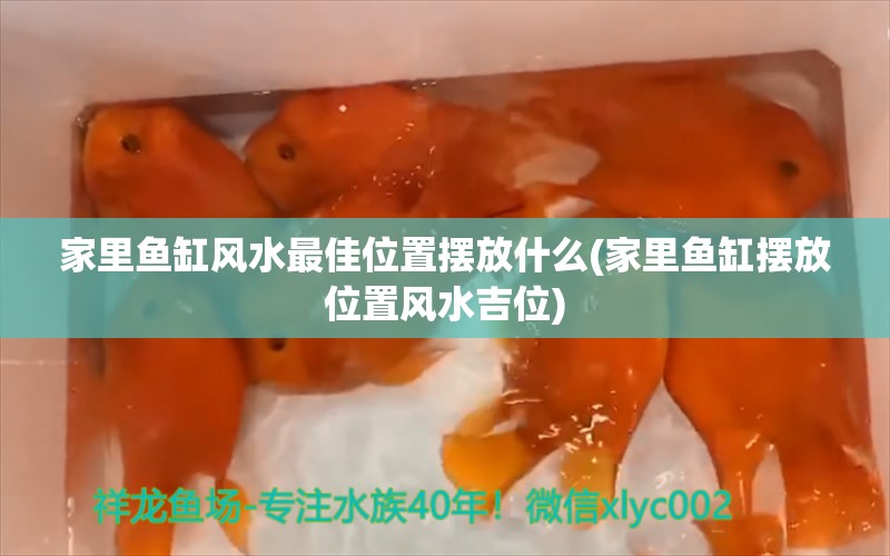 家里鱼缸风水最佳位置摆放什么(家里鱼缸摆放位置风水吉位) 鱼缸风水 第1张