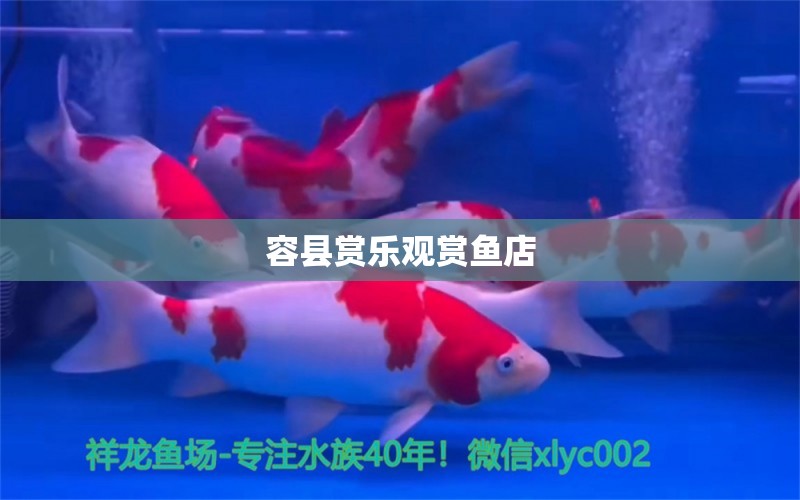 容县赏乐观赏鱼店 全国水族馆企业名录