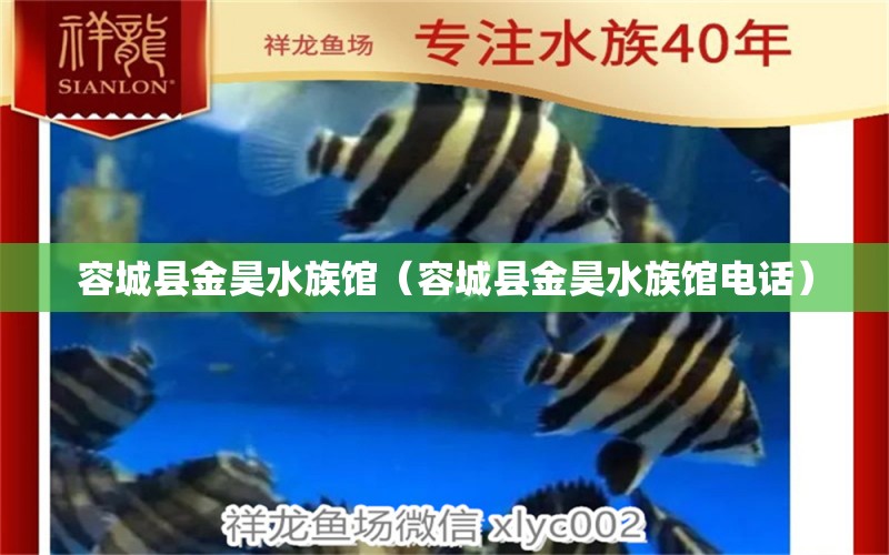 容城县金昊水族馆（容城县金昊水族馆电话）