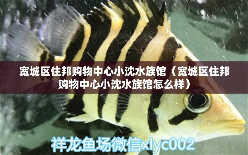 宽城区住邦购物中心小沈水族馆（宽城区住邦购物中心小沈水族馆怎么样） 全国水族馆企业名录