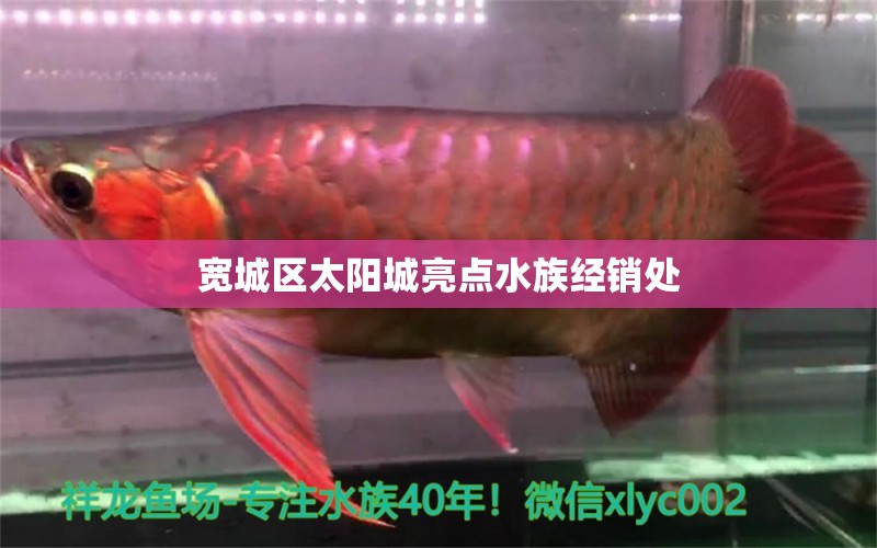 宽城区太阳城亮点水族经销处