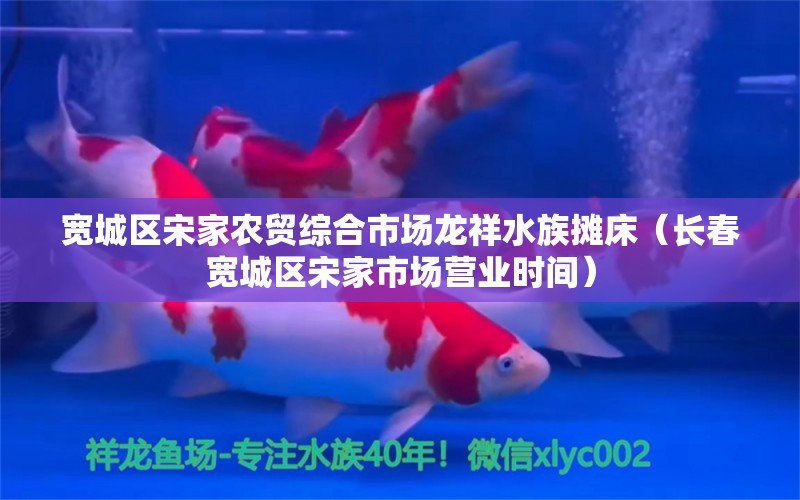 宽城区宋家农贸综合市场龙祥水族摊床（长春宽城区宋家市场营业时间）