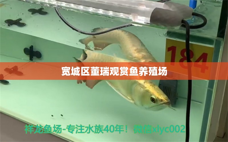 宽城区董瑞观赏鱼养殖场 全国水族馆企业名录