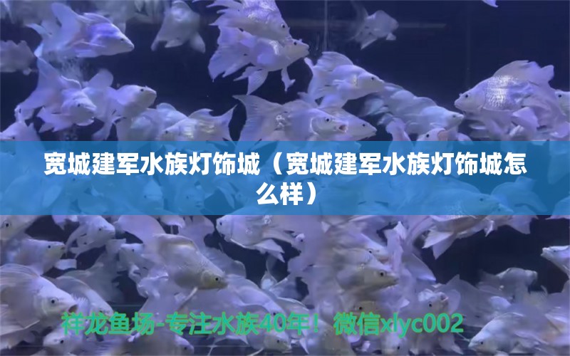 宽城建军水族灯饰城（宽城建军水族灯饰城怎么样）