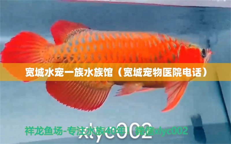 宽城水宠一族水族馆（宽城宠物医院电话） 全国水族馆企业名录