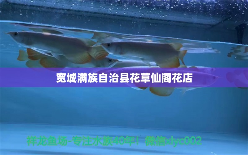 宽城满族自治县花草仙阁花店 全国水族馆企业名录