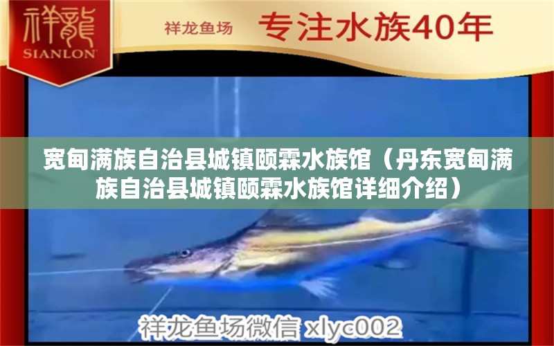 宽甸满族自治县城镇颐霖水族馆（丹东宽甸满族自治县城镇颐霖水族馆详细介绍） 全国观赏鱼市场 第2张