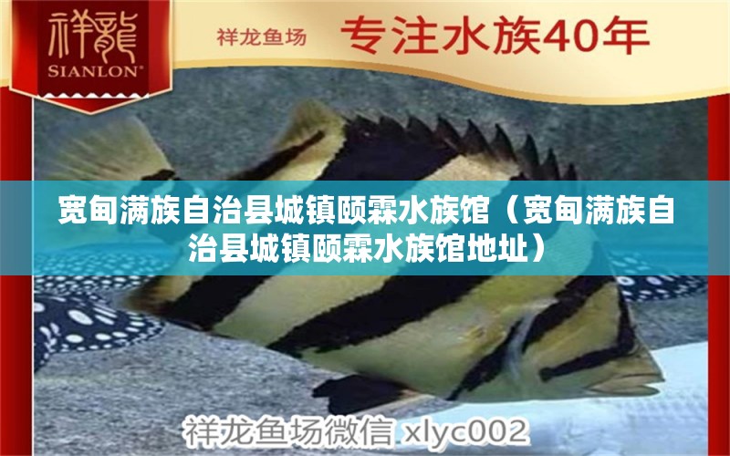 宽甸满族自治县城镇颐霖水族馆（宽甸满族自治县城镇颐霖水族馆地址）