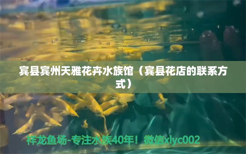 宾县宾州天雅花卉水族馆（宾县花店的联系方式） 全国水族馆企业名录