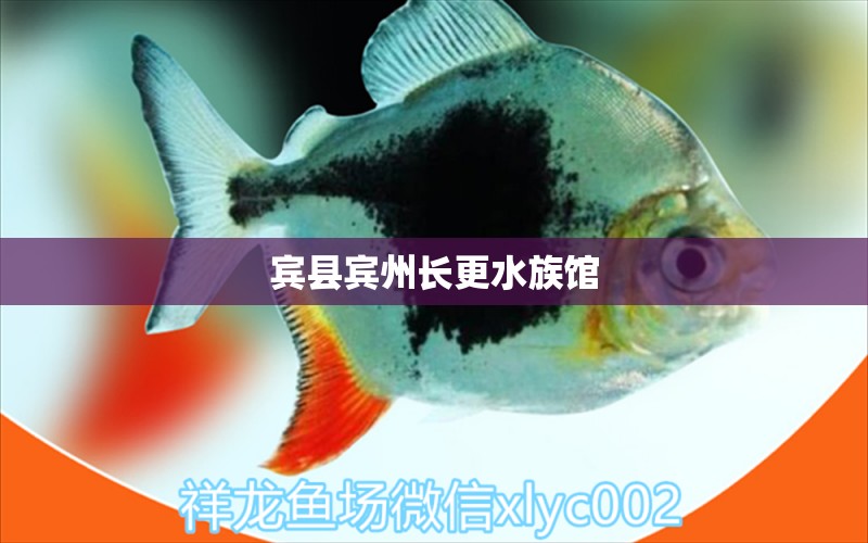 宾县宾州长更水族馆